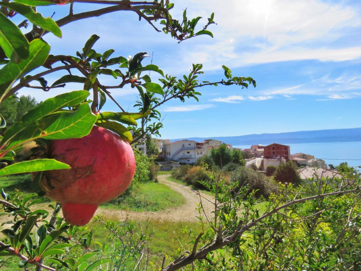 Holiday Home Jozo Omiš Esterno foto